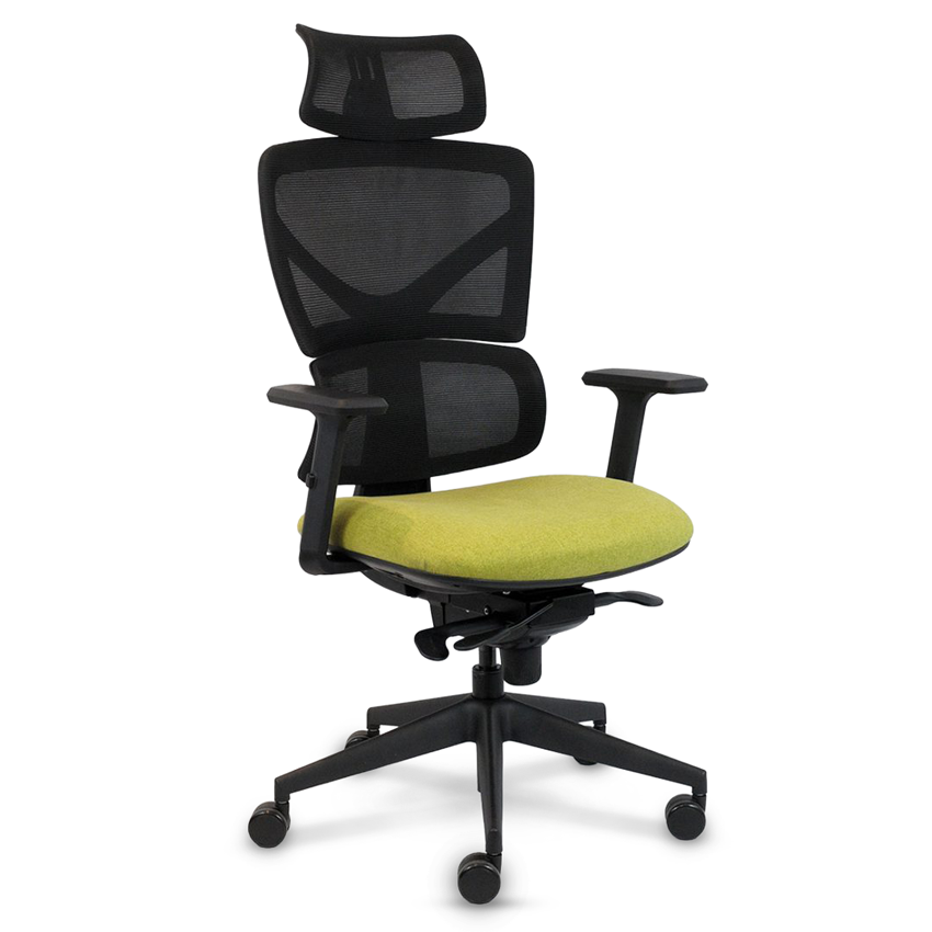 Cassidy Office Chair