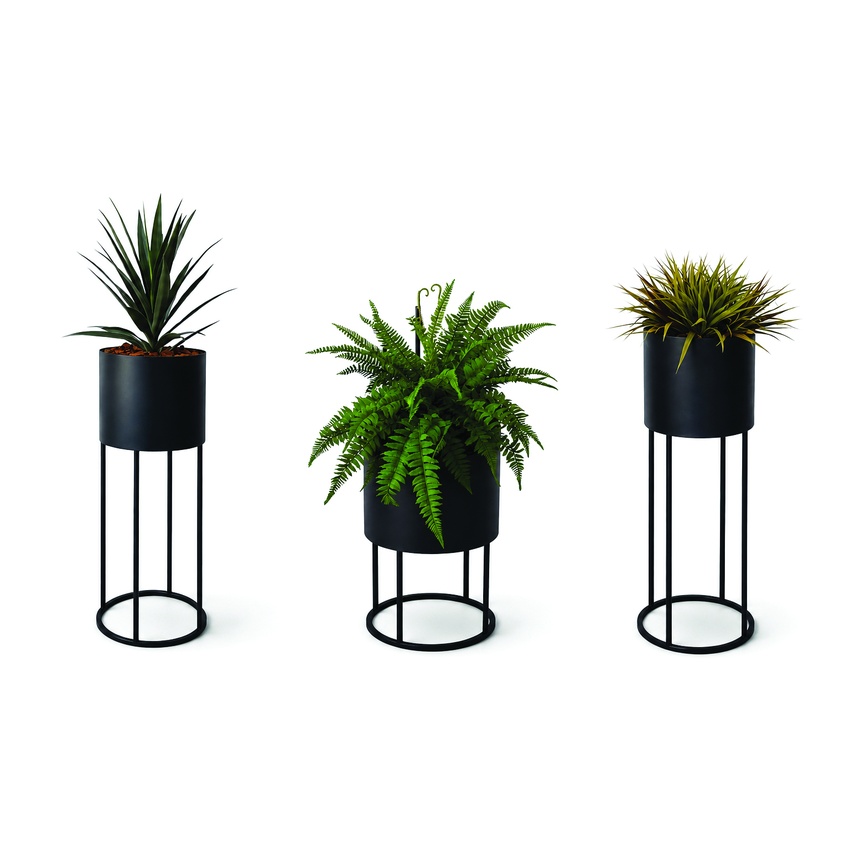 Potted Plants - Image 4