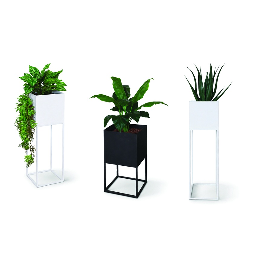 Potted Plants - Image 5