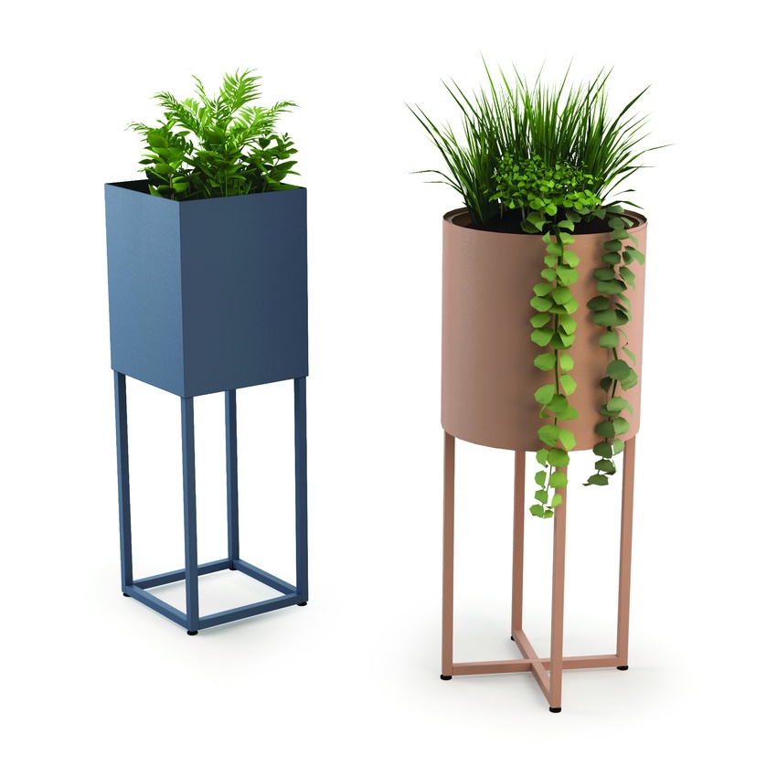 Potted Plants